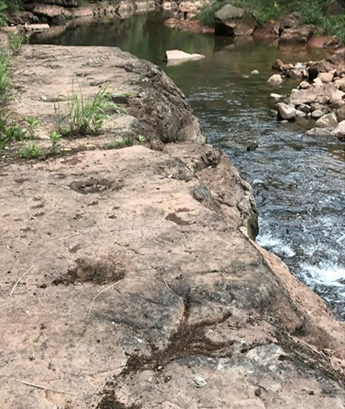 贵州习水县河边疑似发现60多枚恐龙脚印化石