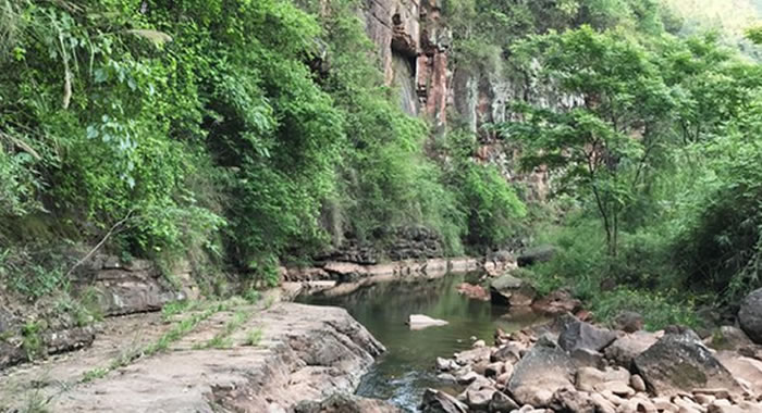 贵州习水县河边疑似发现60多枚恐龙脚印化石