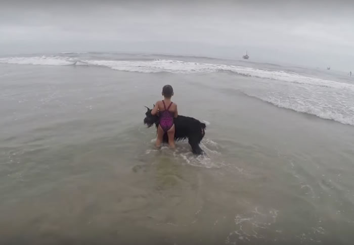 �������ݾ���ѩ�����ػ�����С���˱���ˮ����