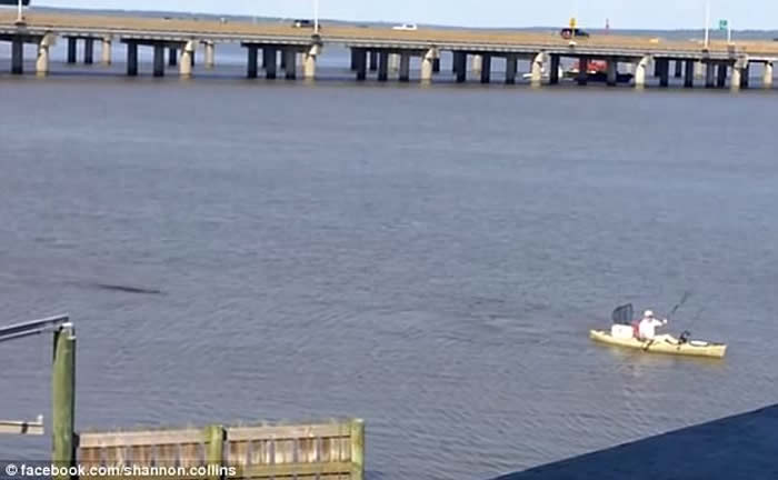 ��������������Ī�ȶ��廮��ľ�����ӱ�������β��