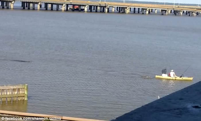 ��������������Ī�ȶ��廮��ľ�����ӱ�������β��