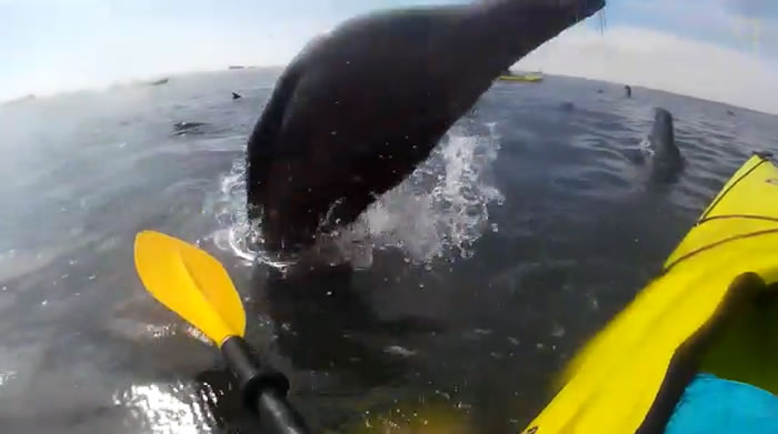 ���ֵĺ������ײ��������