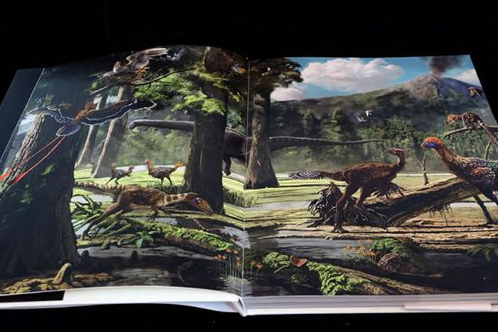 《它们:恐龙时代》产品内页实拍图