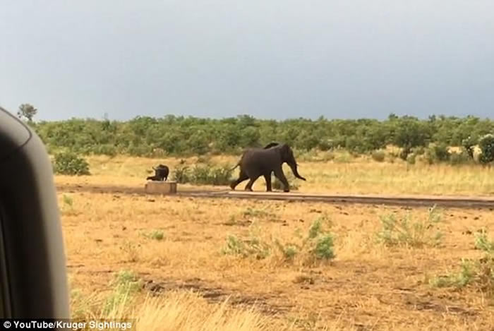 �Ϸǿ�³����ҹ�԰�¸�Сˮţ���˴���