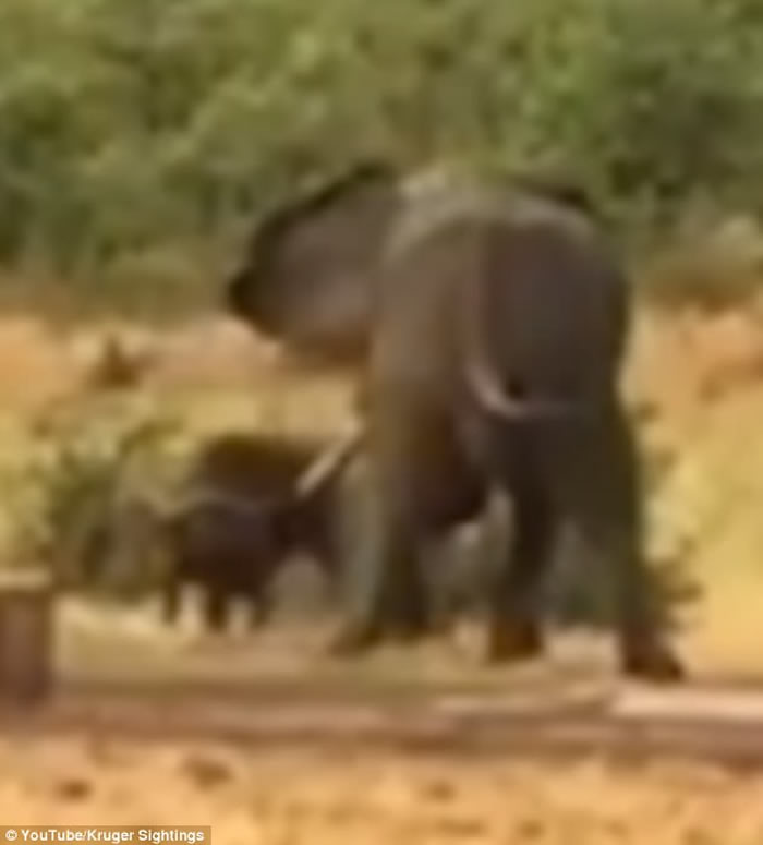 �Ϸǿ�³����ҹ�԰�¸�Сˮţ���˴���