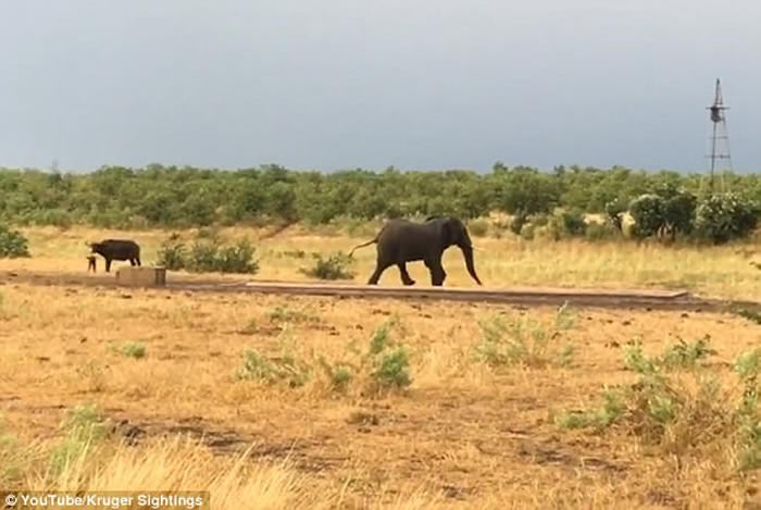 �Ϸǿ�³����ҹ�԰�¸�Сˮţ���˴���