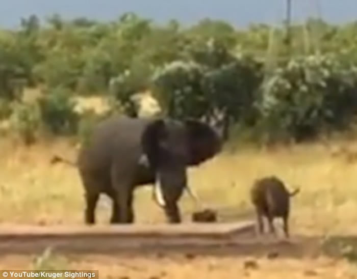 �Ϸǿ�³����ҹ�԰�¸�Сˮţ���˴���