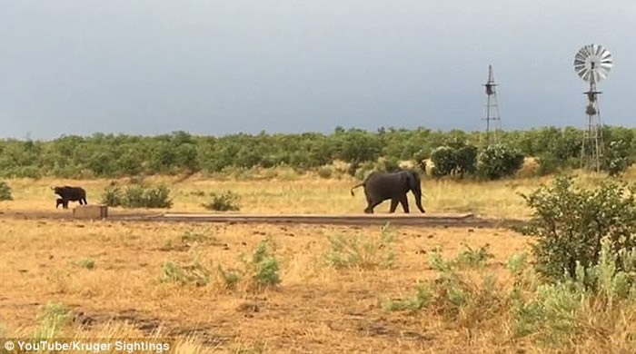 �Ϸǿ�³����ҹ�԰�¸�Сˮţ���˴���