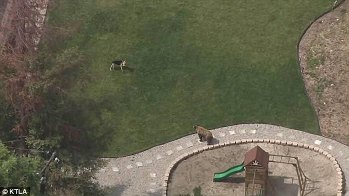 ������ɼ������ܴ����Ӿ�س�Ӿ�����Ȯ����