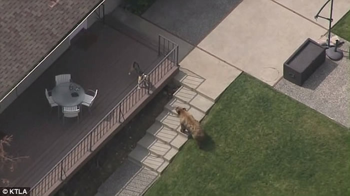 ������ɼ������ܴ����Ӿ�س�Ӿ�����Ȯ����