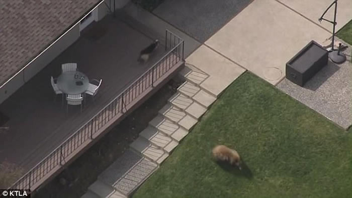 ������ɼ������ܴ����Ӿ�س�Ӿ�����Ȯ����