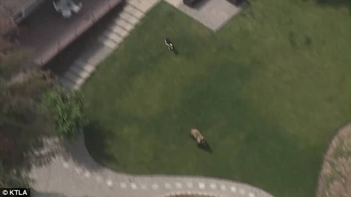 ������ɼ������ܴ����Ӿ�س�Ӿ�����Ȯ����