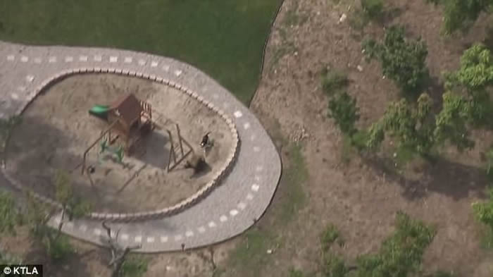 ������ɼ������ܴ����Ӿ�س�Ӿ�����Ȯ����