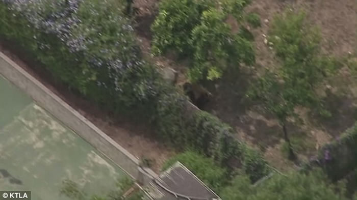 ������ɼ������ܴ����Ӿ�س�Ӿ�����Ȯ����