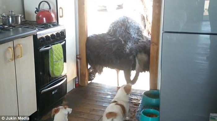 ����վ�ڳ����ſ��쳤����͵��������ʳ