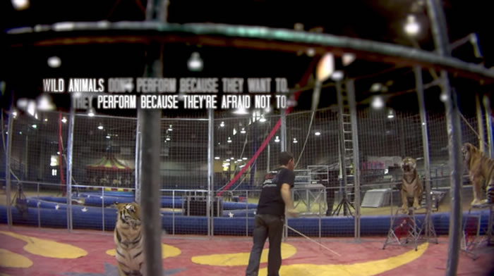 ѱ��ʦ�׺ݵ��ڻӱ���ѵ���ϻ���