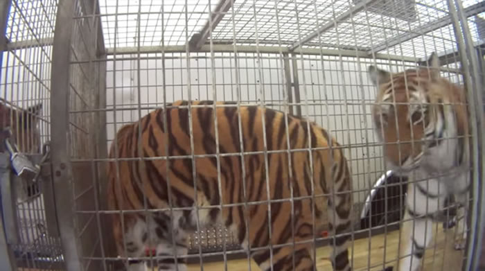 �ڵ�����ڼ����5���У��ϻ�û���κζ����Է���