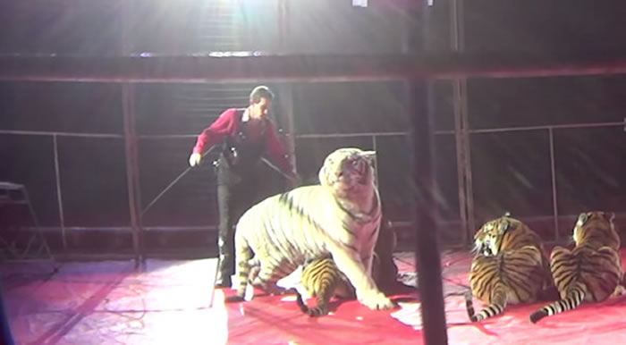 �ϻ��ǵ���Ϊ��ȫ��ѱ��ʦ����