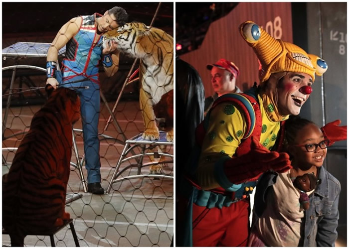 ������Ϸ�����ս�������ݳ���