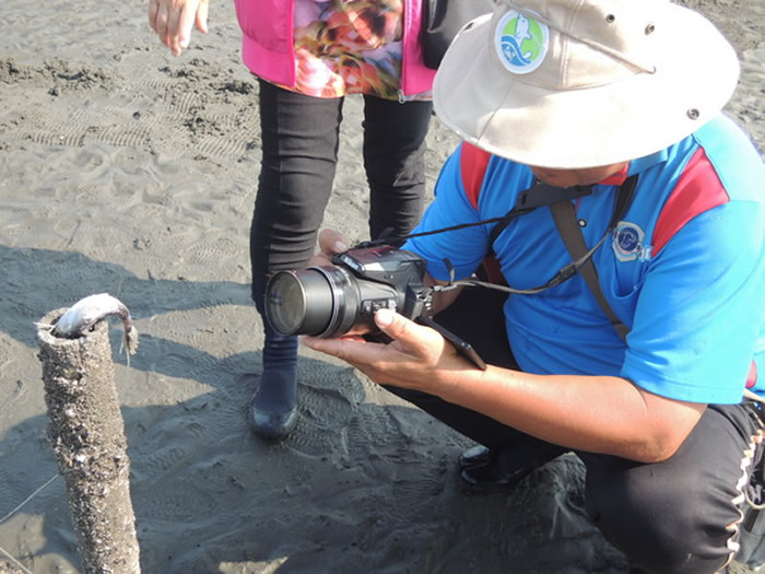 ̨���û�������������γ����� ԭ���Ǽ��ˮʭ��ʳ̩����������ά��