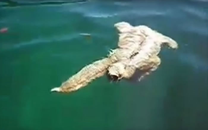 ��Ӿ�ٶȳ������������������ź���Ϳ����ȥ�ˡ�