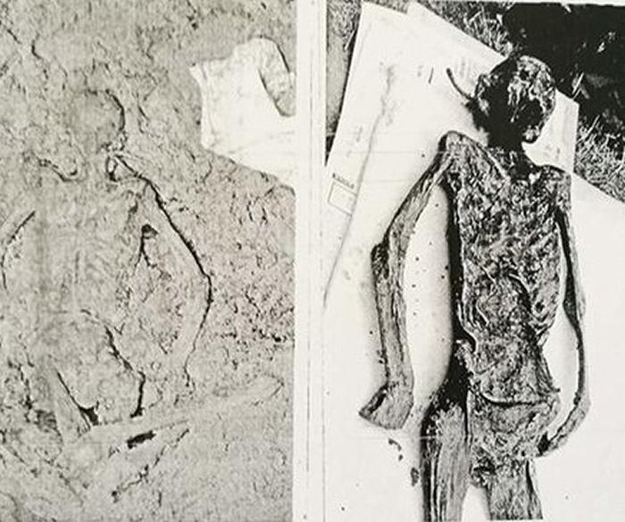 йɳ23ǰĹŰʬ ɽĹȺҸһĹսŮʬ⳶