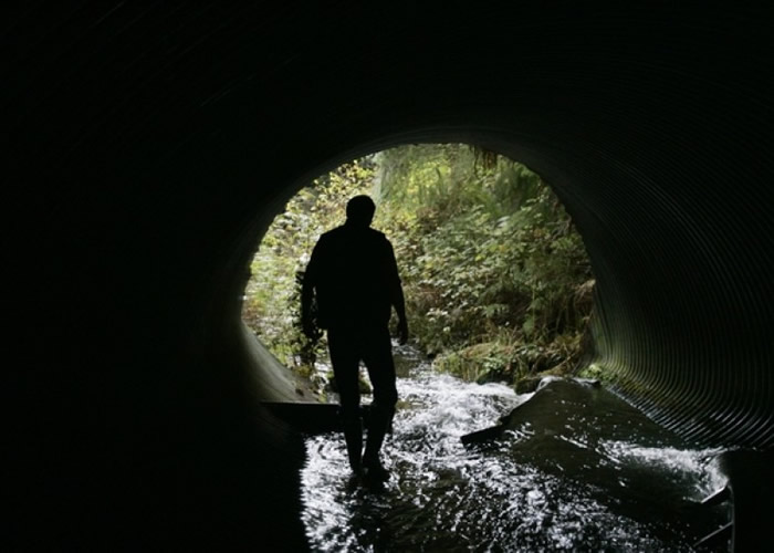 ˮ����ָ����������Ǩ�㡣