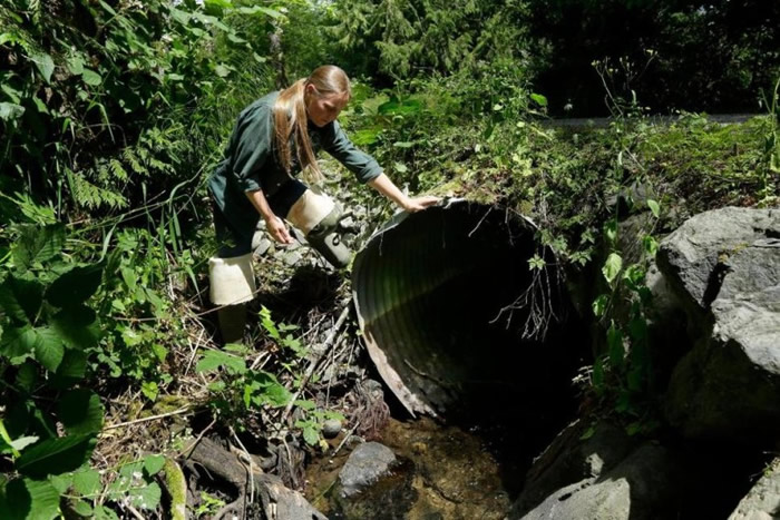 �����������ˮ����