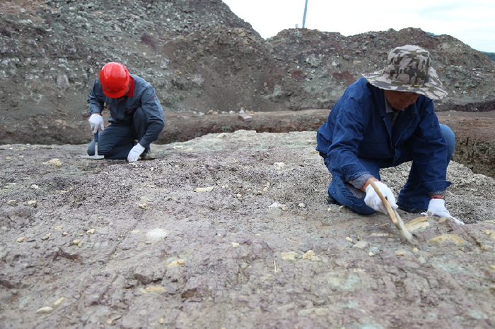 挖掘现场 李军广 摄