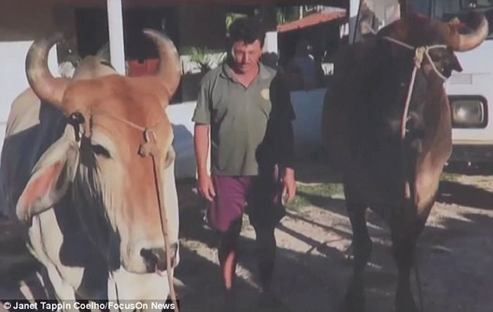 吸血蝙蝠入侵巴西城市咬人 40人染狂犬病