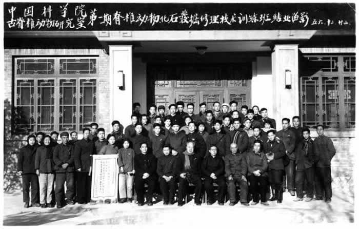 1956�꣬ǰ������Ϊ���ӽ�