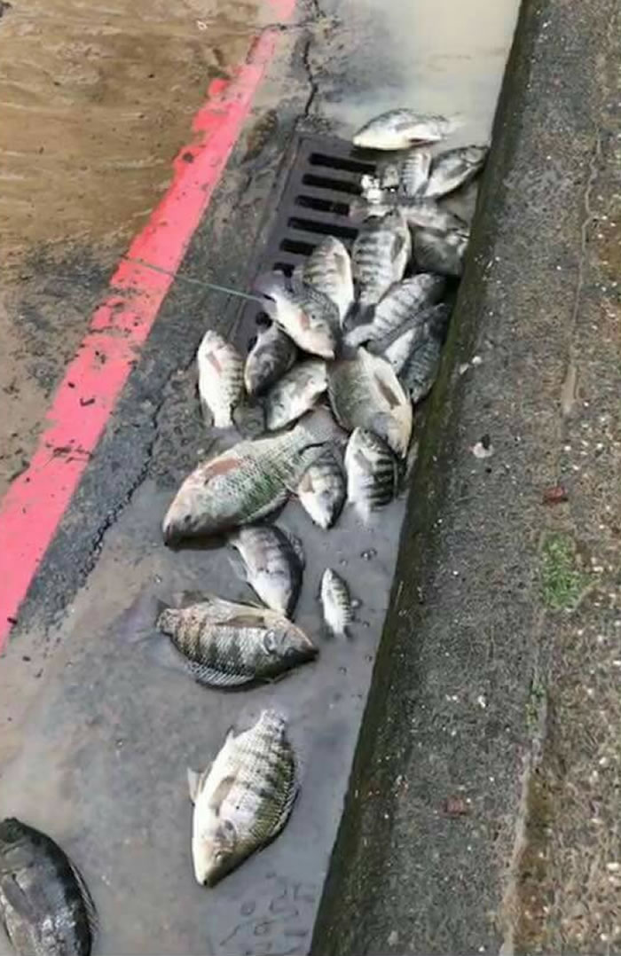 ̨�屩����Ϯ ̨���ӱ߳ɶ��﹫԰