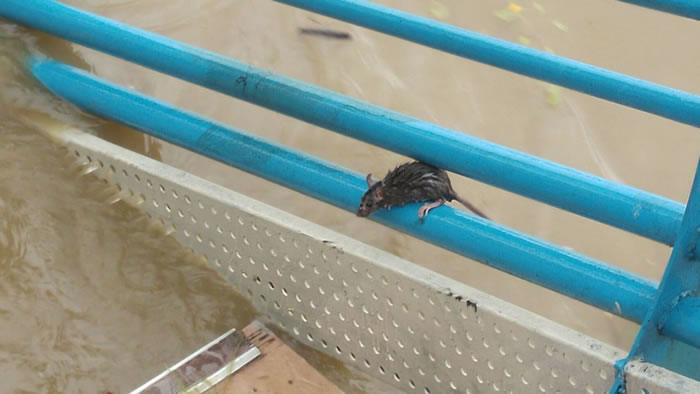 ̨�屩����Ϯ ̨���ӱ߳ɶ��﹫԰