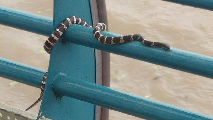 ̨�屩����Ϯ ̨���ӱ߳ɶ��﹫԰