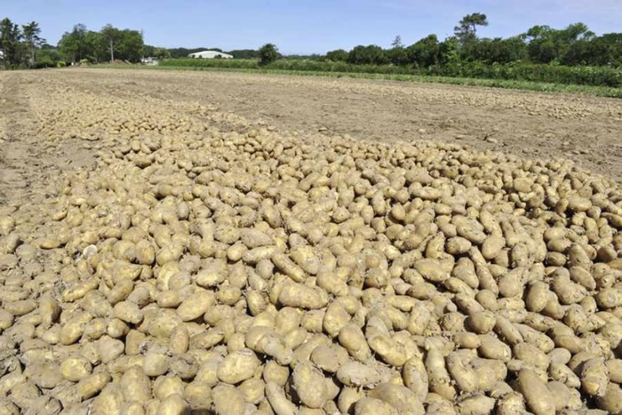 ��������Ϊ��������������������