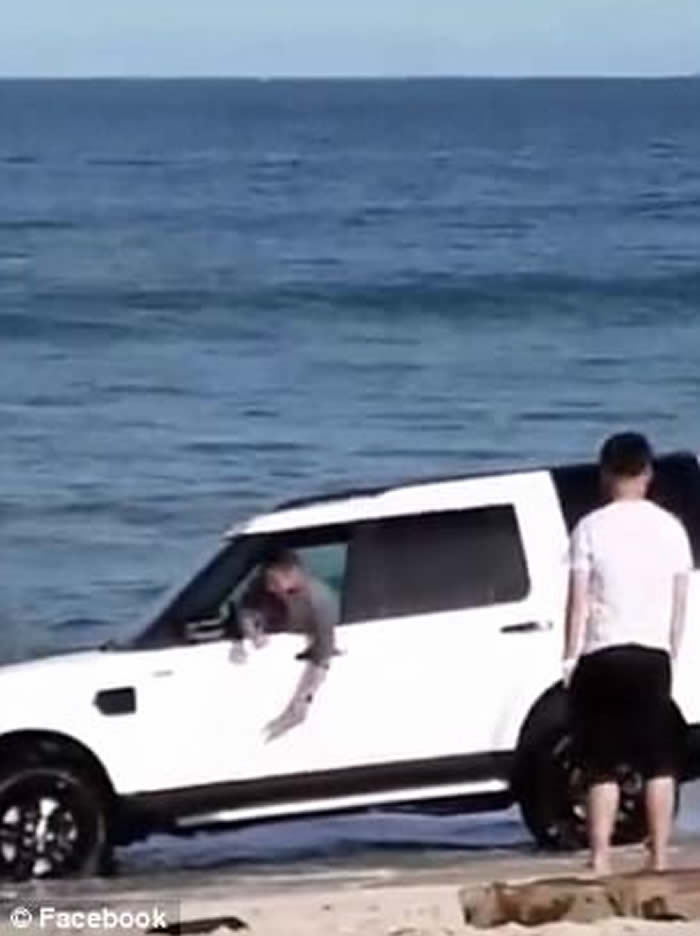 ʻ��̫�����߽��³� �����������ݳ����Ǳ���ɳ�Ȱ���