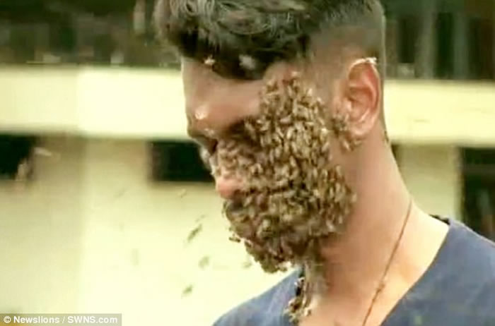 6万蜜蜂爬满头 印度喀拉拉特邦青年觉得好舒服