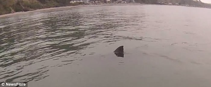 �����������ӻ���Ƥͧ����ʱ��������転�������Χ���ڴ���