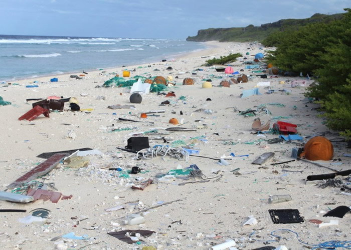 亨德森岛海滩上满是冲上岸的垃圾。