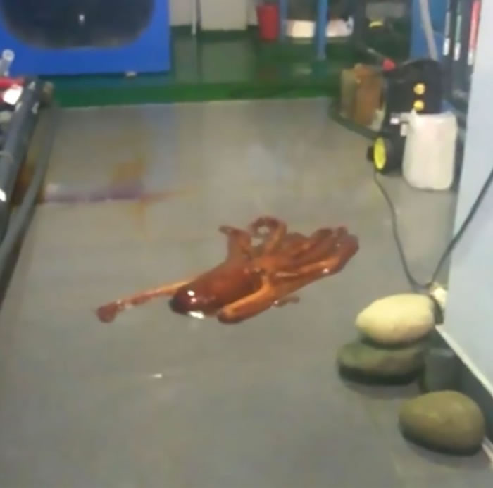 ����˹������ˮ��������������ô��ǰѸ����ƿ�������