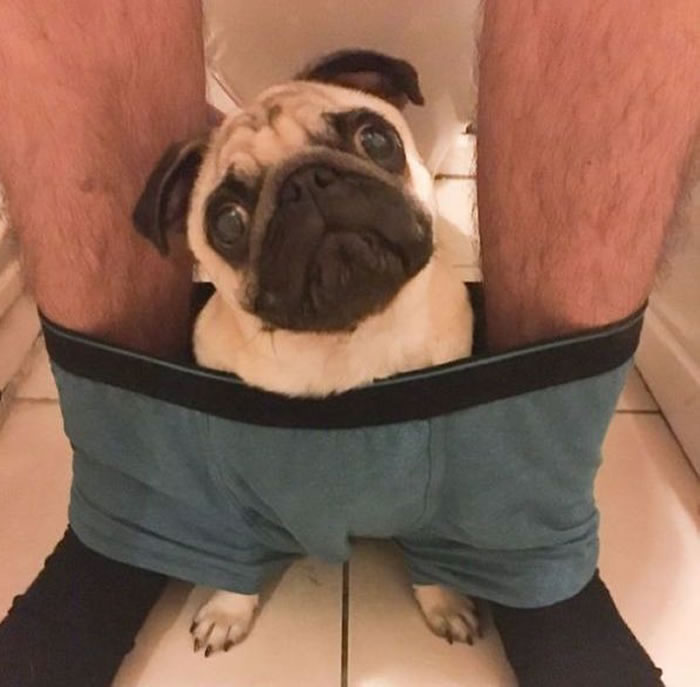 �͸�Ȯ�������ֵ��£�������������������Ͱ��