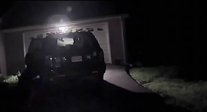 ����ά���������ް�ŵ������������ǰ������������һֻҰ��С��