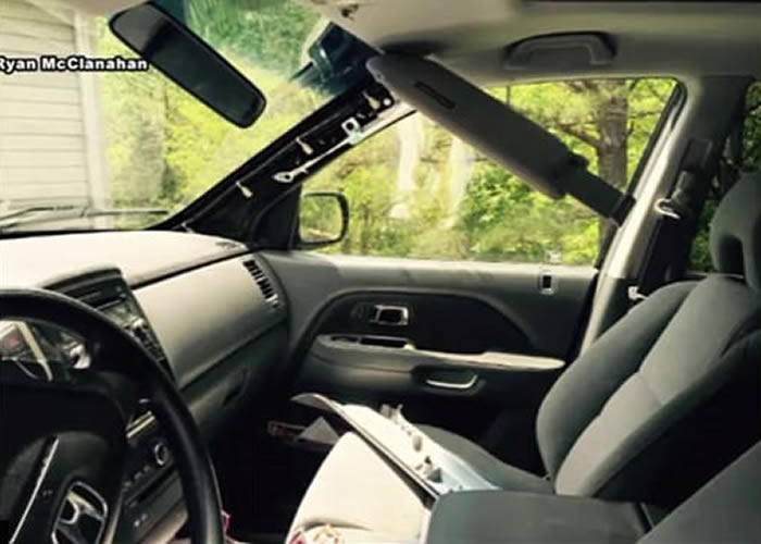 ����ά���������ް�ŵ������������ǰ������������һֻҰ��С��