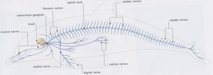 �ױǺ������Ӷ�����Բ���ϵͳ������������Ķ�������