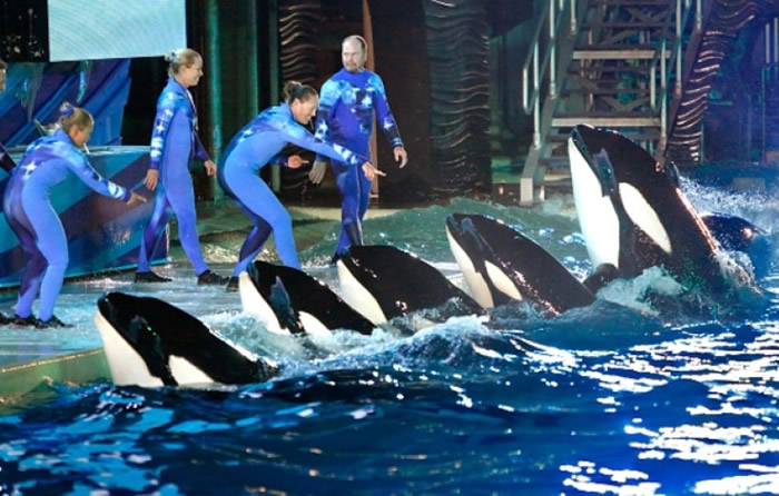 �е���ָ��ˮ����ڳ�ˮ�ྭ��ѧ�������Ծ����к���