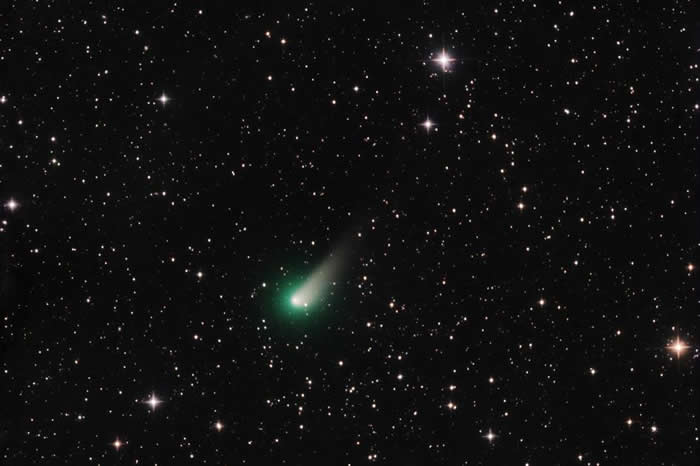 3��26�������ǿ�����ǣ����ֳ�һ������β����ʱ�������ŵ��򿿽���PHOTOGRAPH BY JOS&Eacute; J. CHAMB&Oacute;