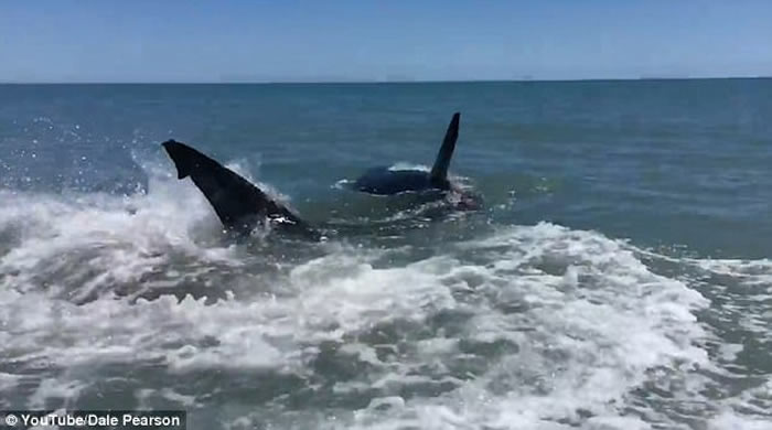 ī׷ɱɳ̲ǳ ֵǰ鿴ȴ޴