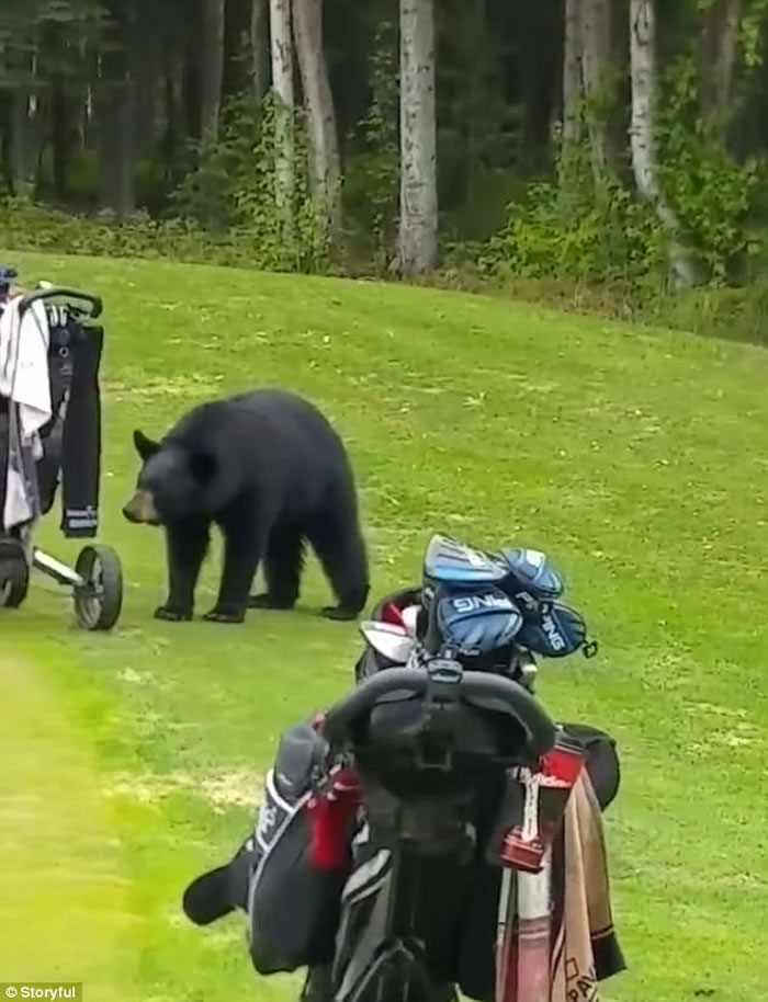 ��������˹�Ӱ�������ĸ߶����򳡺��ܱ������߰���ĬĬ�߻�����