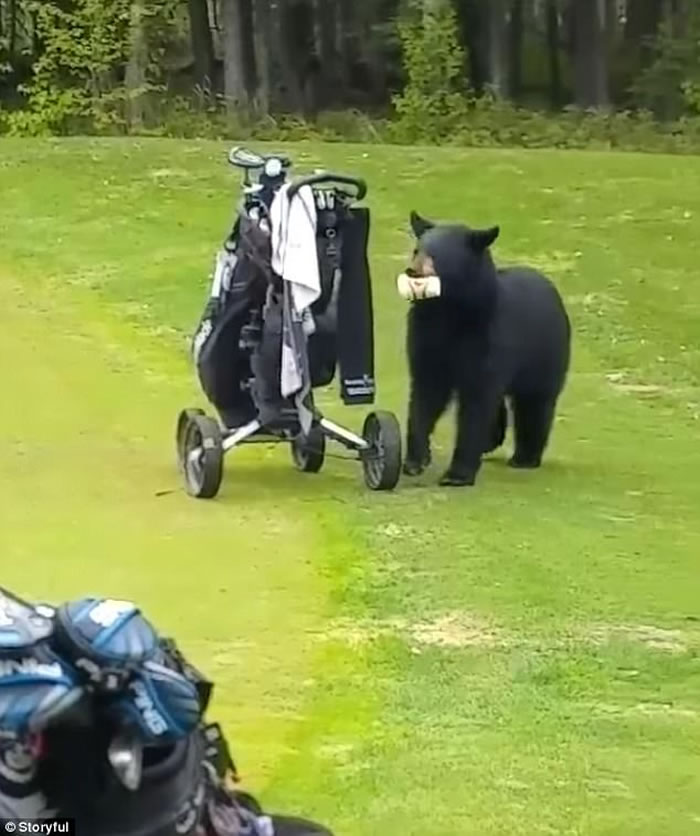 ��������˹�Ӱ�������ĸ߶����򳡺��ܱ������߰���ĬĬ�߻�����