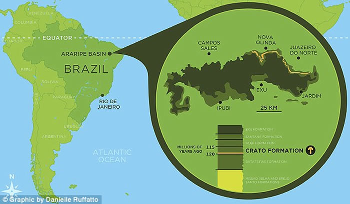 巴西东北部克拉图白垩纪地层石灰岩中发现已知最古老蘑菇化石